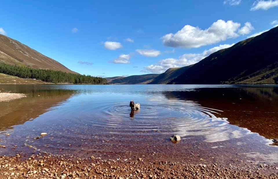 Charlie at Loch Muick